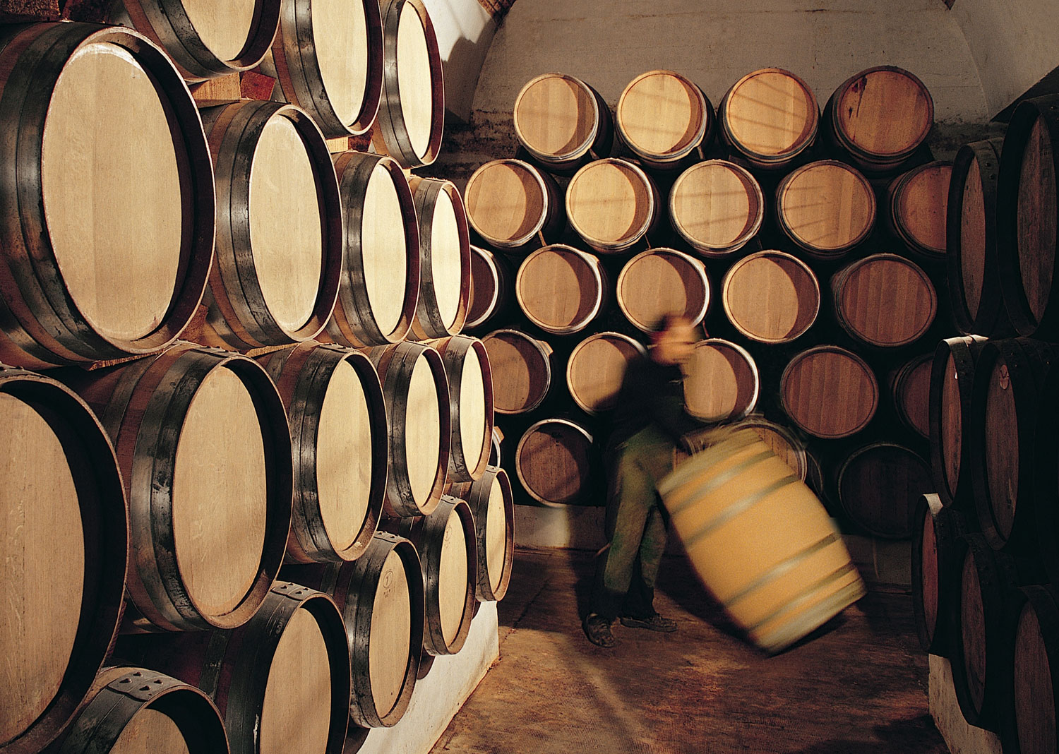 Palacio de Bornos - D.O. Ribera del Duero - La bodega